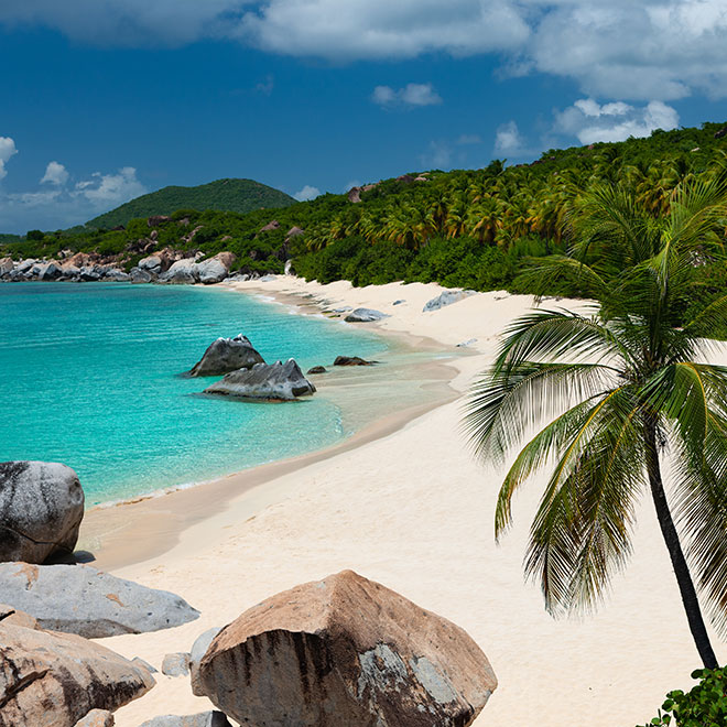 Long stretch of white-sand beach to the right against the blue waters of the Caribbean Sea to the left and a palm tree in the foreground. 